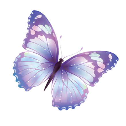 papillons